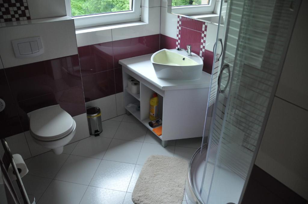 Willa Stenia Center Apartamenty Wisła Rom bilde